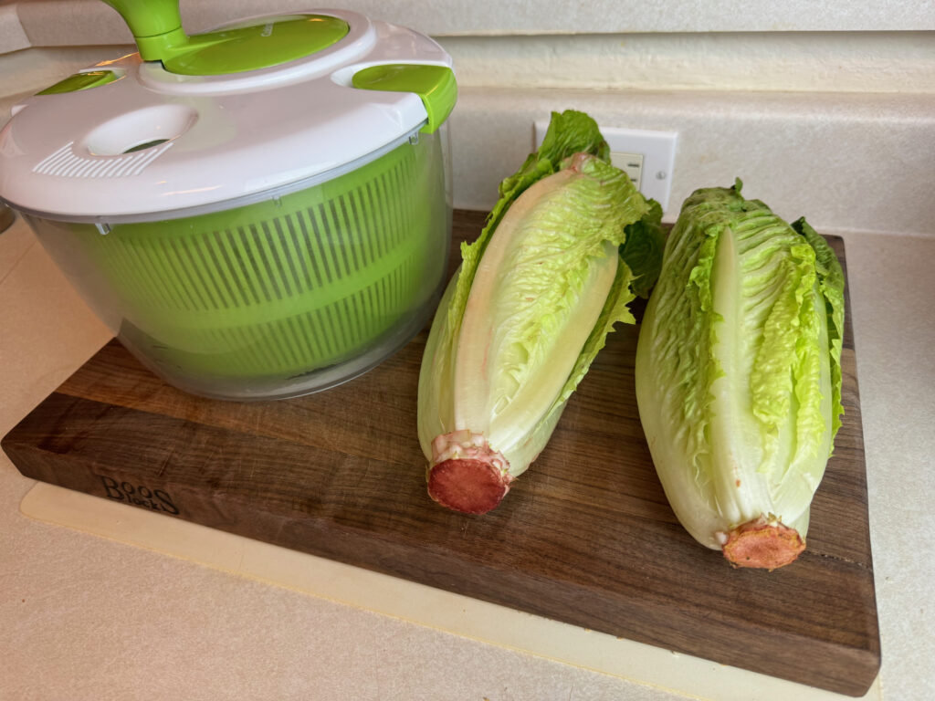 two stalks of romaine lettuce and a salad spinner