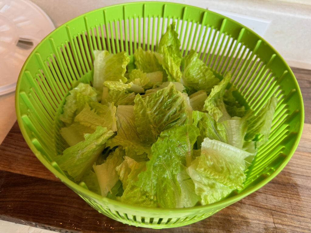 freshly dried romaine lettuce in a salad spinner for my homemade Caesar salad made form scratch